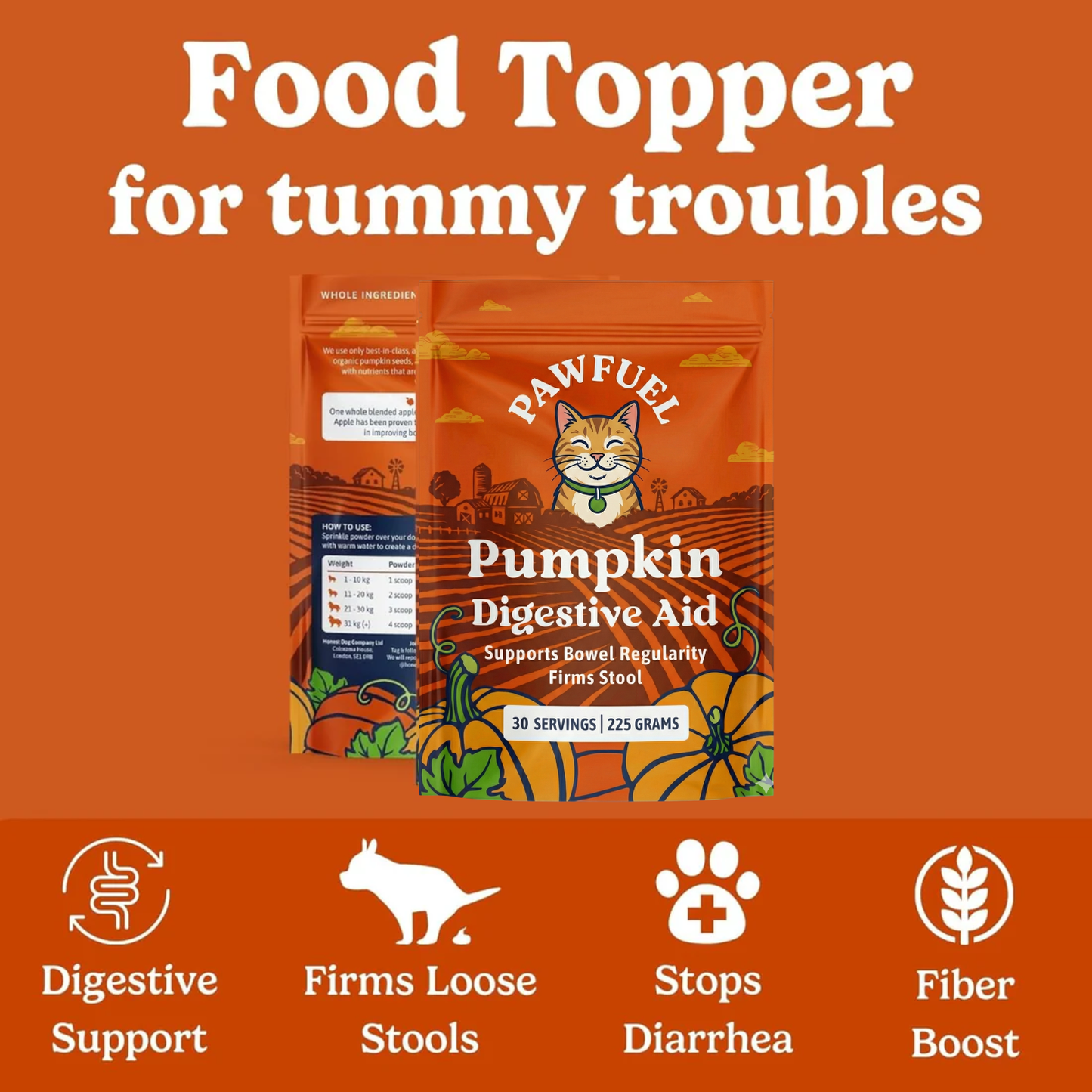 Pumpkin Digestive Aid For Cats
