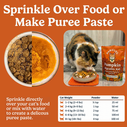 Pumpkin Digestive Aid For Cats