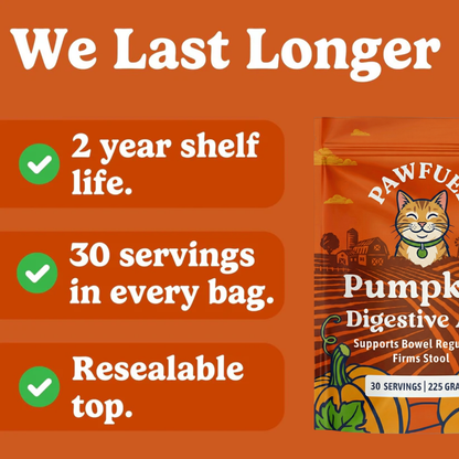 Pumpkin Digestive Aid For Cats