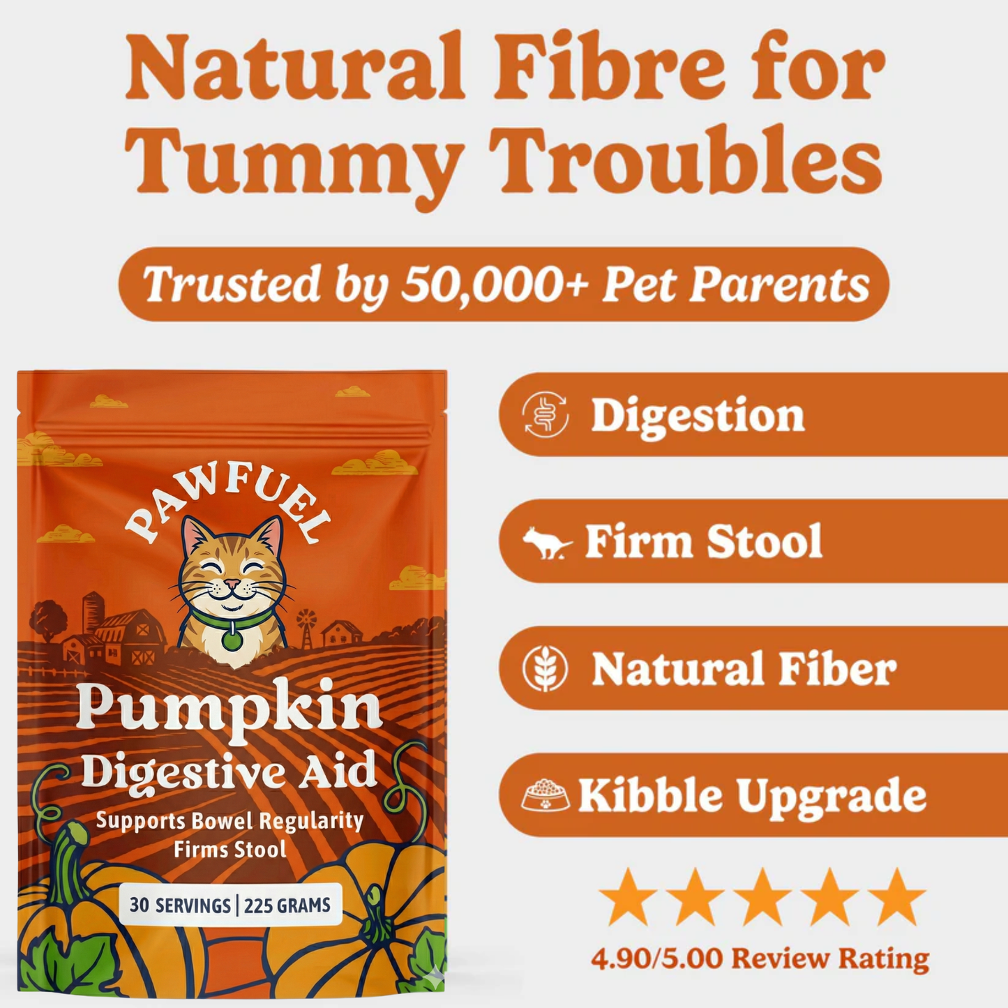 Pumpkin Digestive Aid For Cats