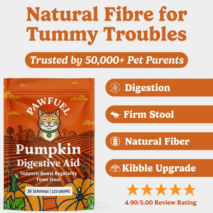 Pumpkin Digestive Aid For Cats